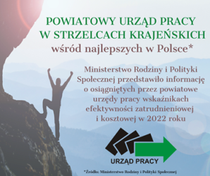 Obrazek dla: Powiatowy Urząd Pracy w Strzelcach Krajeńskich wśród najlepszych w Polsce